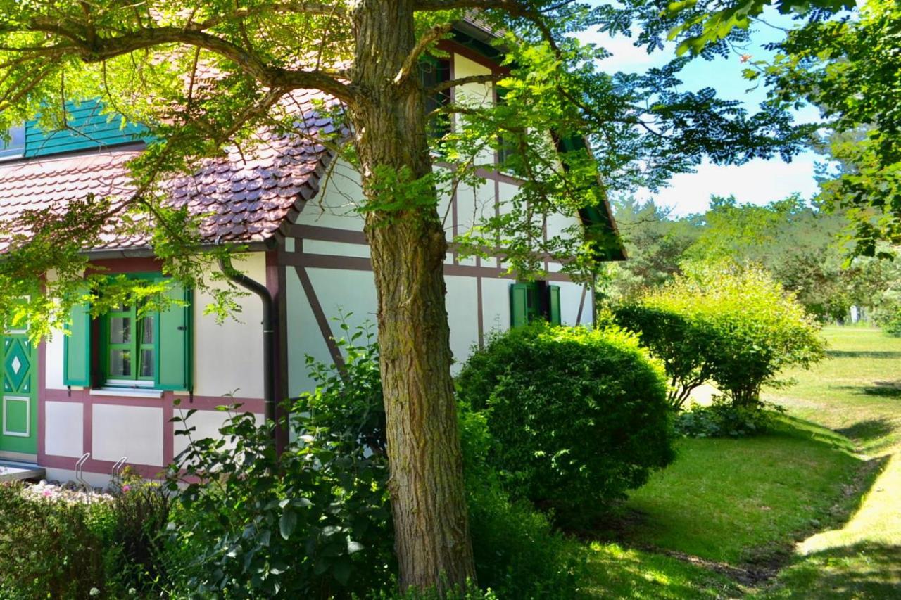Strandnahe Ferienwohnung Ruegen Dranske Zewnętrze zdjęcie