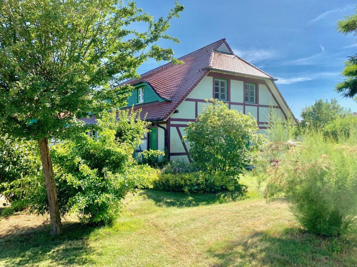 Strandnahe Ferienwohnung Ruegen Dranske Zewnętrze zdjęcie